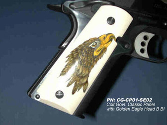 E02_GoldenEagleHeadB